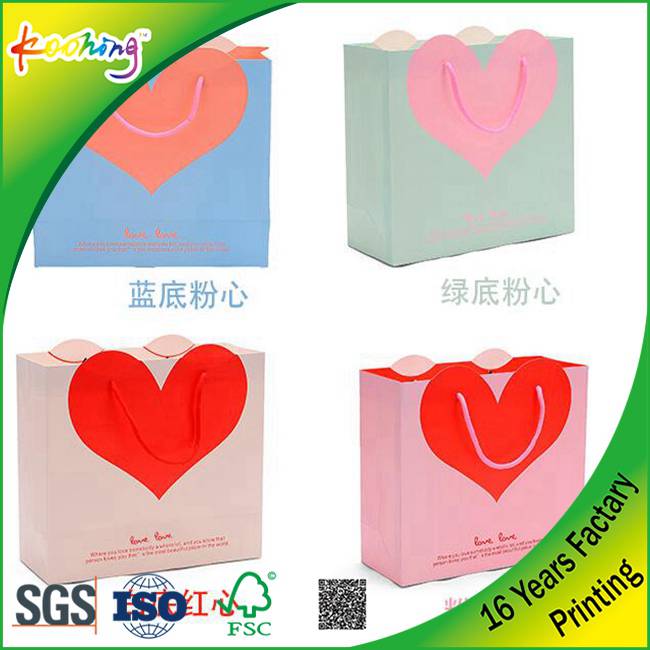 Customized Printing Paper Retail Shopping Bag - 副本 - 副本