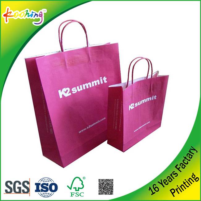 Beautiful Shopping Carrier Kraft Paper/Plastic Bag Custom