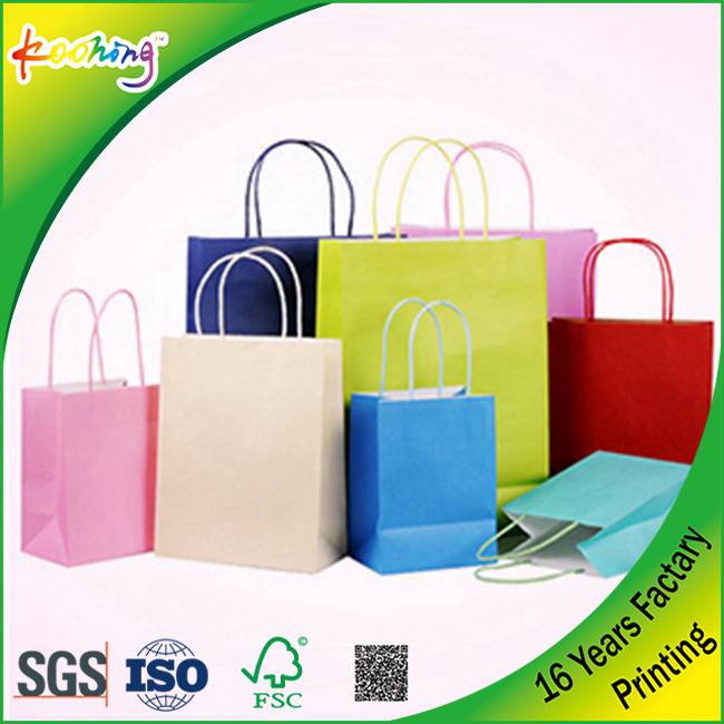 Beautiful Shopping Carrier Kraft Paper/Plastic Bag Custom