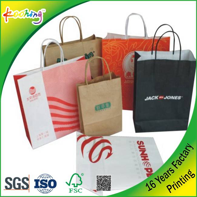 New Luxury Shopping Paper Bag for Cloth