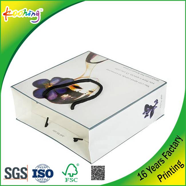 New Luxury Shopping Paper Bag for Cloth