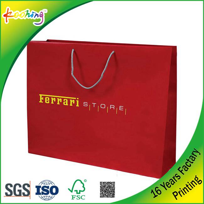 High quality Branded Retail Paper bag