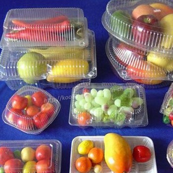 Factory Custom PET/PP disposable clear round classified food packaging container with lid for fruit ,vegetable ,meat