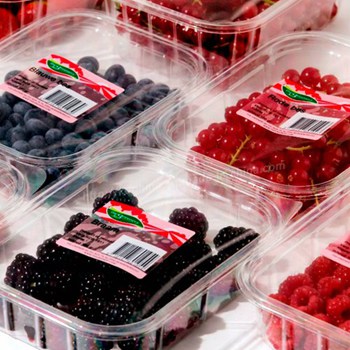 Factory Custom PET/PP disposable clear round classified food packaging container with lid for fruit ,vegetable ,meat