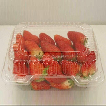 Factory Custom PET/PP disposable clear round classified food packaging container with lid for fruit ,vegetable ,meat