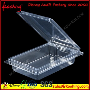 Blister Clamshell Plastic Packaging