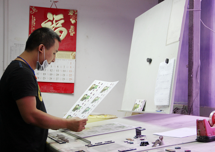 Roland Printing Machine